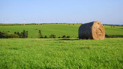 揚(yáng)帆起航，紅瓜子文化傳媒開啟大航海之路