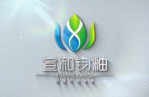 紅瓜子文化傳媒-宣和鈞釉企業(yè)宣傳片_材料類(lèi)企業(yè)宣傳片丨企業(yè)宣傳片案例