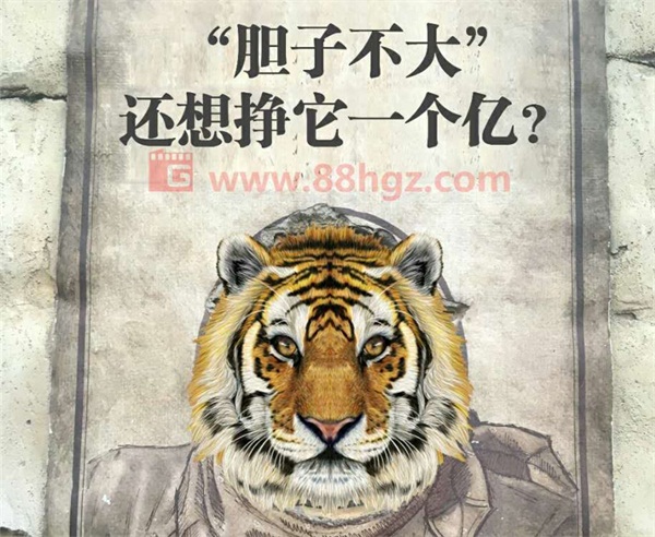 還能更高嗎？與迪瑪希共鳴的，是我們追隨企業(yè)宣傳片的信仰